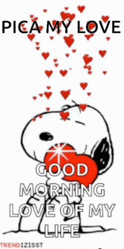 Gm My Lo GIF