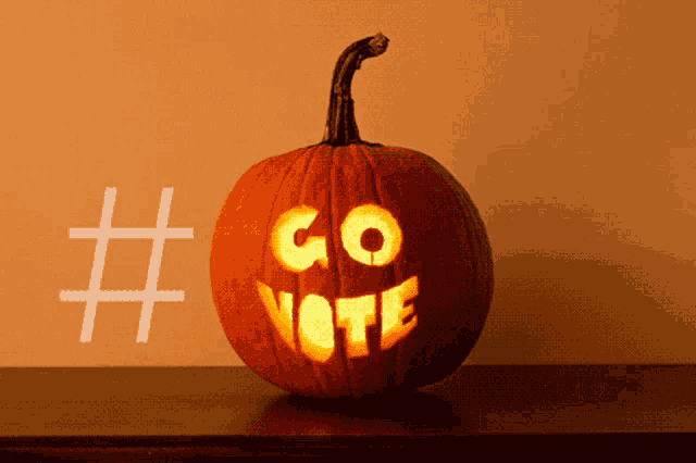 Go Vote Vota GIF
