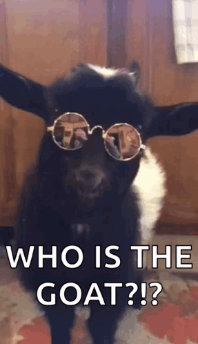 Goat Chill GIF