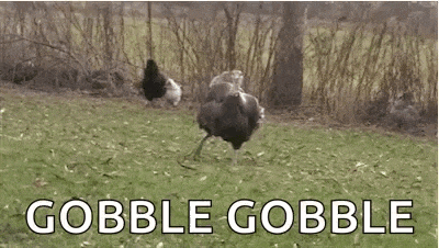 Gobble Its GIF