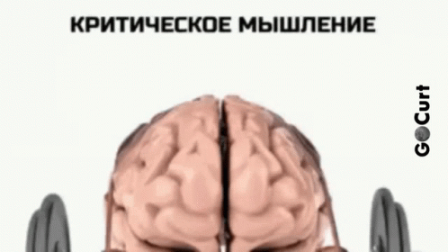 Gocurt Kritical GIF