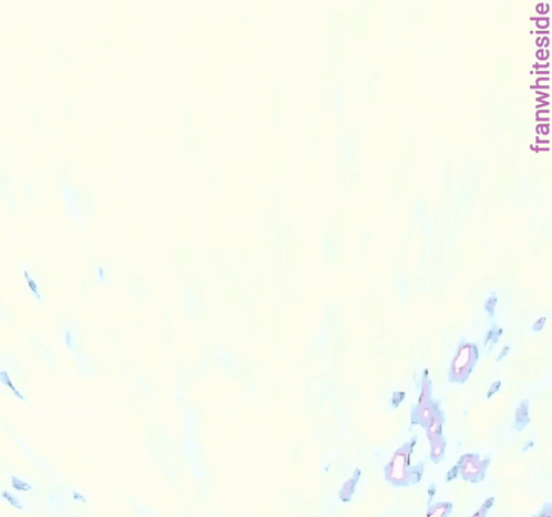 God Bless Saturday Weekend GIF