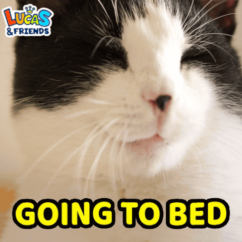 Going To Bed Sleep GIF