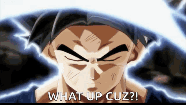 Goku Ultra Instinct GIF
