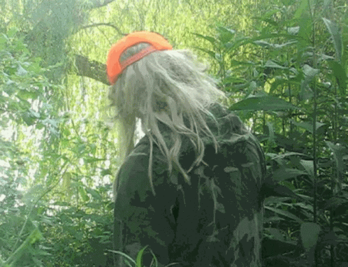 Gold Star Gold Medal GIF