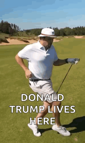 Golf Barstool GIF