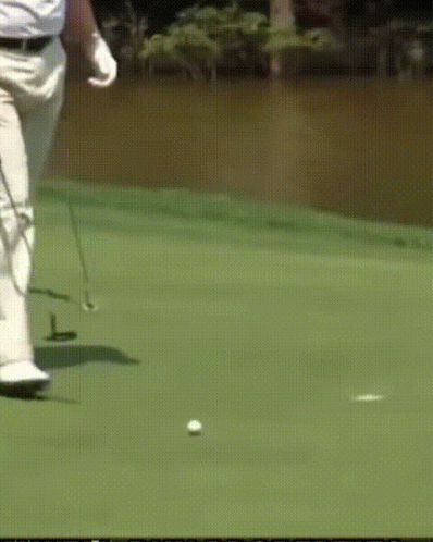 Golf Golfing GIF