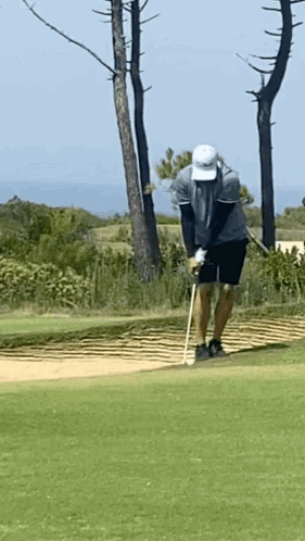 Golf Golfing GIF