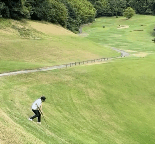 Golf Golfing GIF