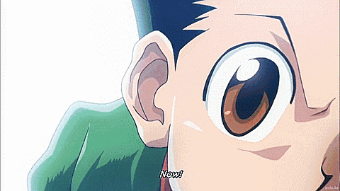 Gon Hunter X Hunter GIF