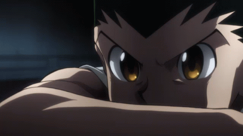Gon Hxh GIF