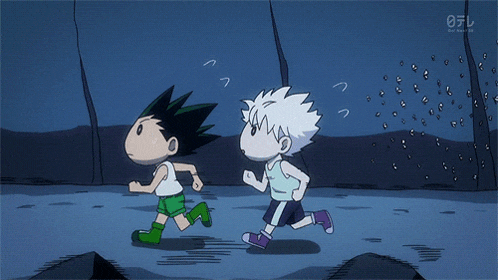 Gon Killua GIF