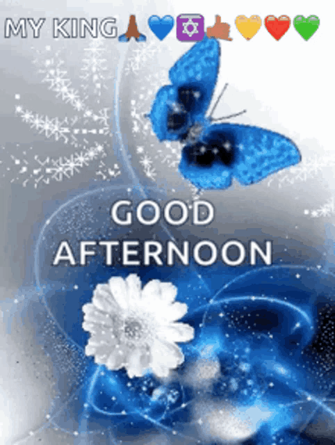 Good Afternoon GIF