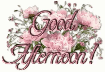 Good Afternoon Hi GIF
