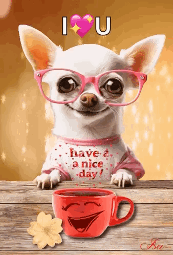 Good Day Bonjour GIF