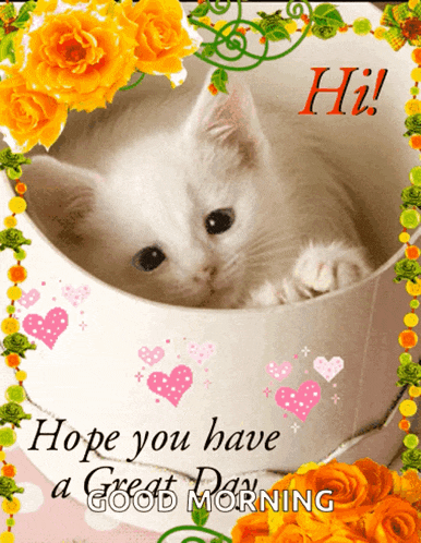 Good Day Hi GIF