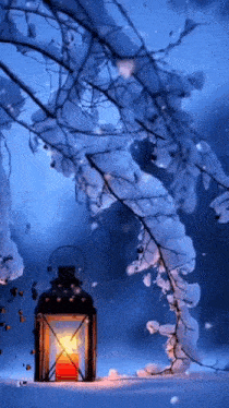Good Evening Gif Winter GIF