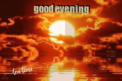 Good Evening GIF