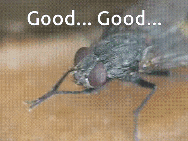 Good Good Rub Hands GIF