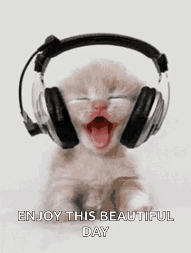 Good Mood Music GIF