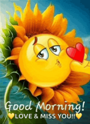 Good Moring Good Morning Images Meme