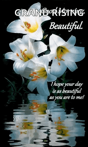 Good Morning Beautiful GIF