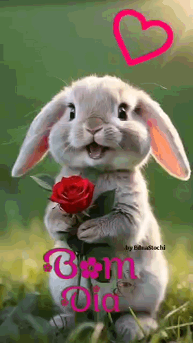 Good Morning Bom Dia GIF