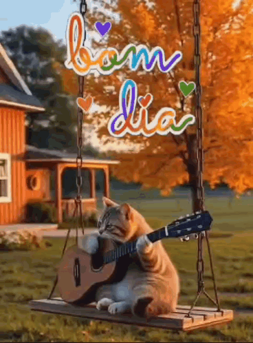 Good Morning Bom Dia GIF
