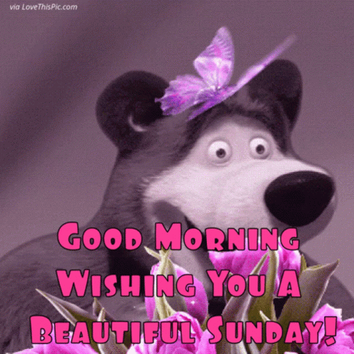 Good Morning Butterfly GIF