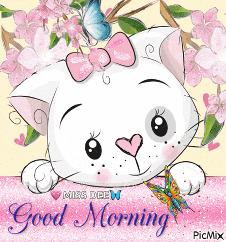 Good Morning Cat GIF