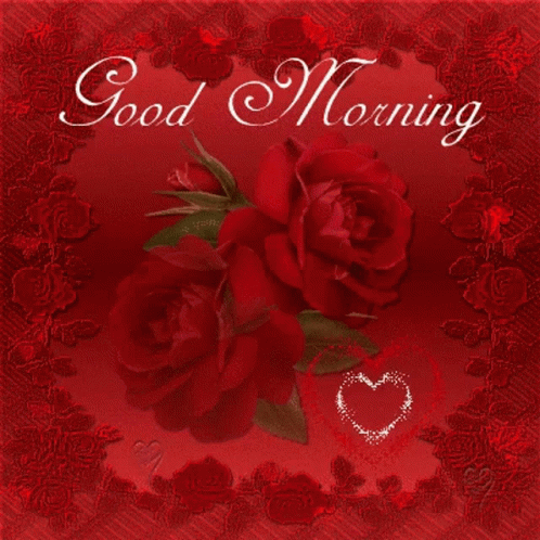 Good Morning GIF