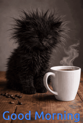 Good Morning Coffee Time GIF