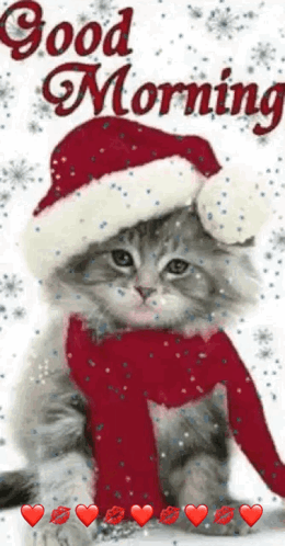 Good Morning Cute Gif GIF
