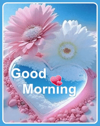 Good Morning GIF