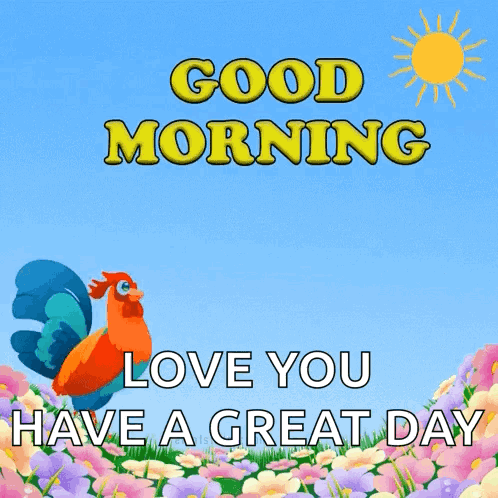 Good Morning GIF
