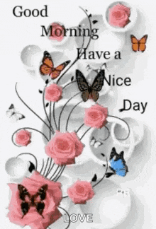 Good Morning Good Morning Flowers GIF