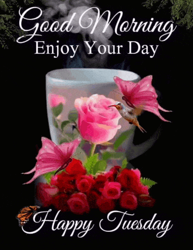 Good Morning Good Morning Flowers GIF
