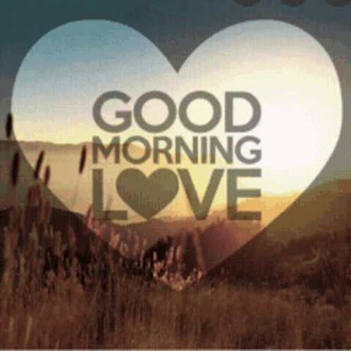 Good Morning Good Morning Love GIF