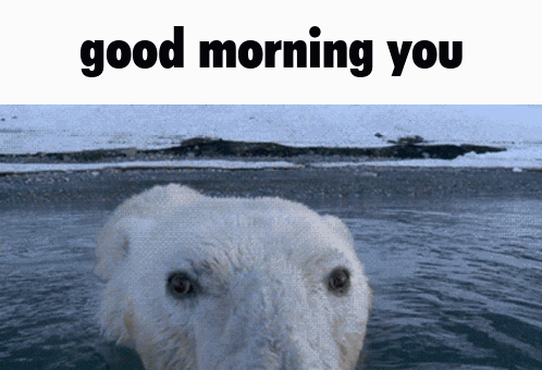 Good Morning Good Morning You GIF