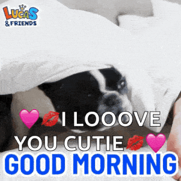 Good Morning Goodmorning GIF