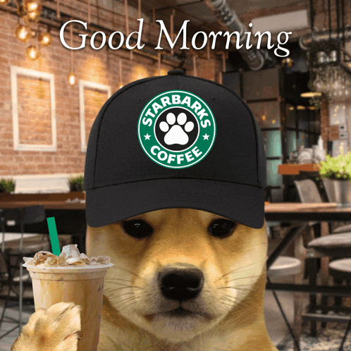Good Morning Goodmorning Meme
