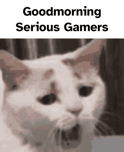 Good Morning Gsc GIF