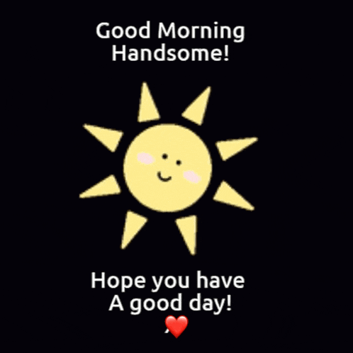 Good Morning Handsome Hope You Have A Good Day GIF