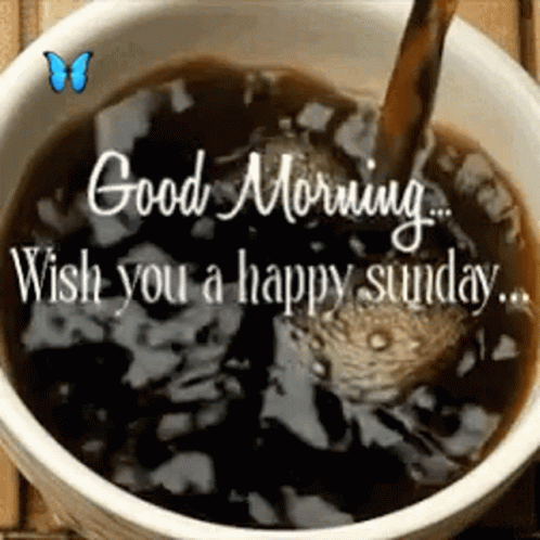 Good Morning Happy Sunday GIF