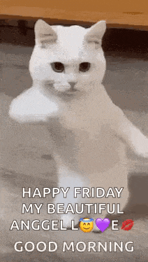 Good Morning Happy GIF