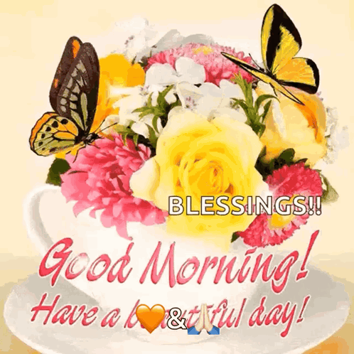 Good Morning Have A Beautiful Day GIF