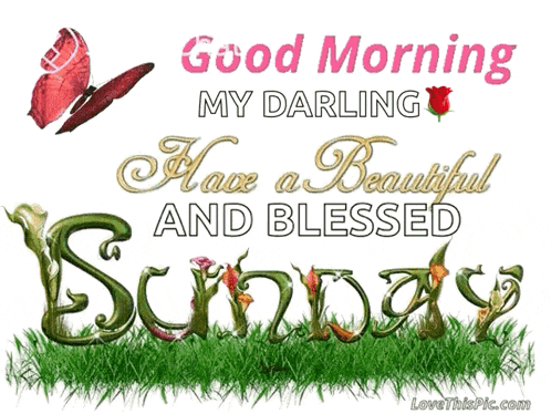 Good Morning Have A Beautiful Sunday GIF