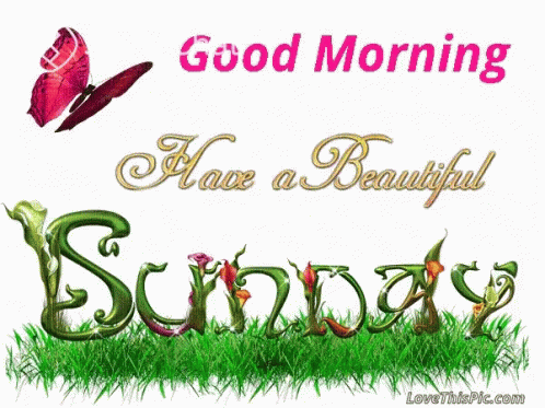 Good Morning Have A Beautiful Sunday Greetings GIF