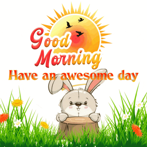 Good Morning Have A Good Day GIF
