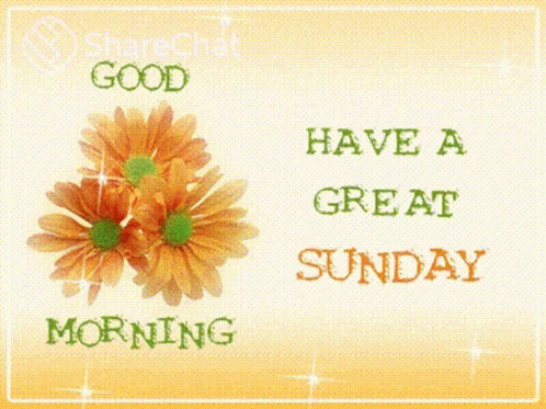 Good Morning Have A Great Sunday GIF